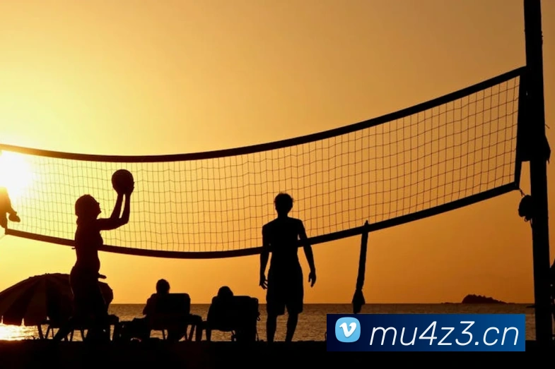 App Interface Preview